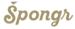 Špongr